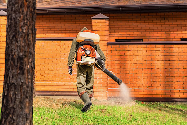 Trusted Ant Control service in West Homestead, PA - Nex Pest Control